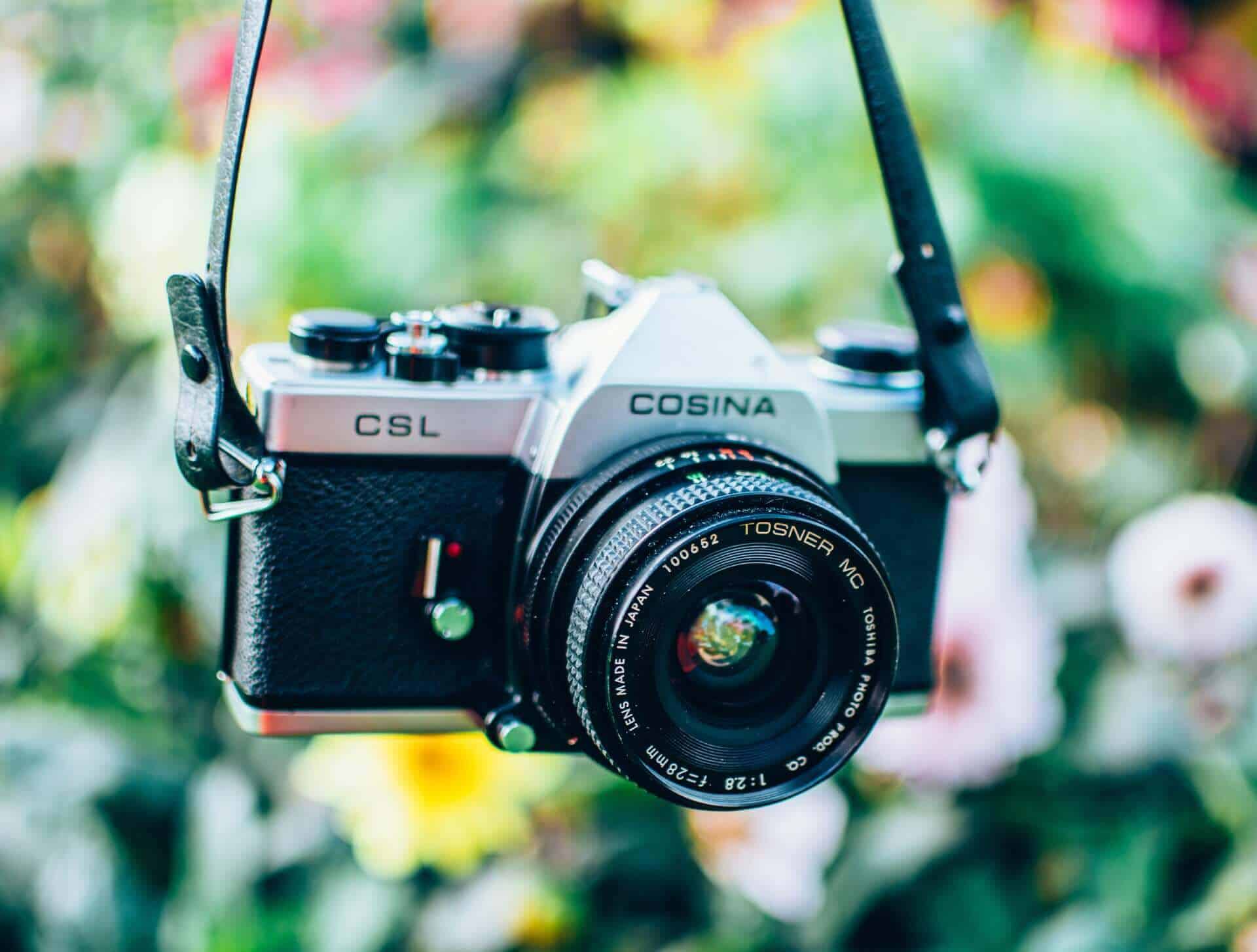 The jargon reflects underneath the written flute.